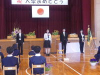 P1540379