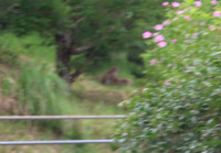１