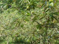 P1570316