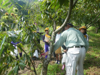 P1570330